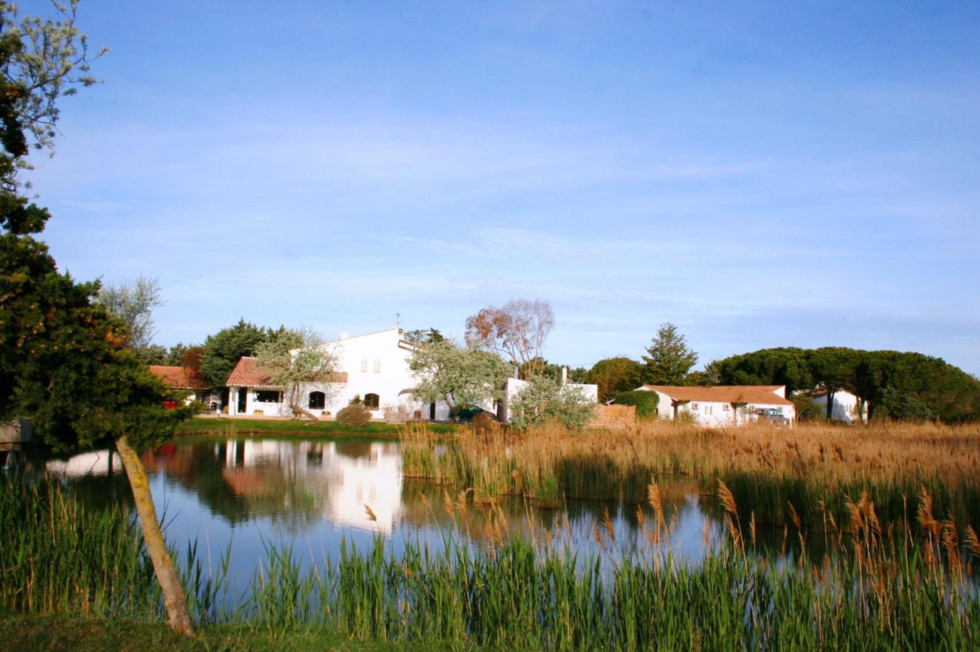 Les Rizieres Hotel แซ็งต์-มารี-เดอ-ลา-แมร์ ภายนอก รูปภาพ