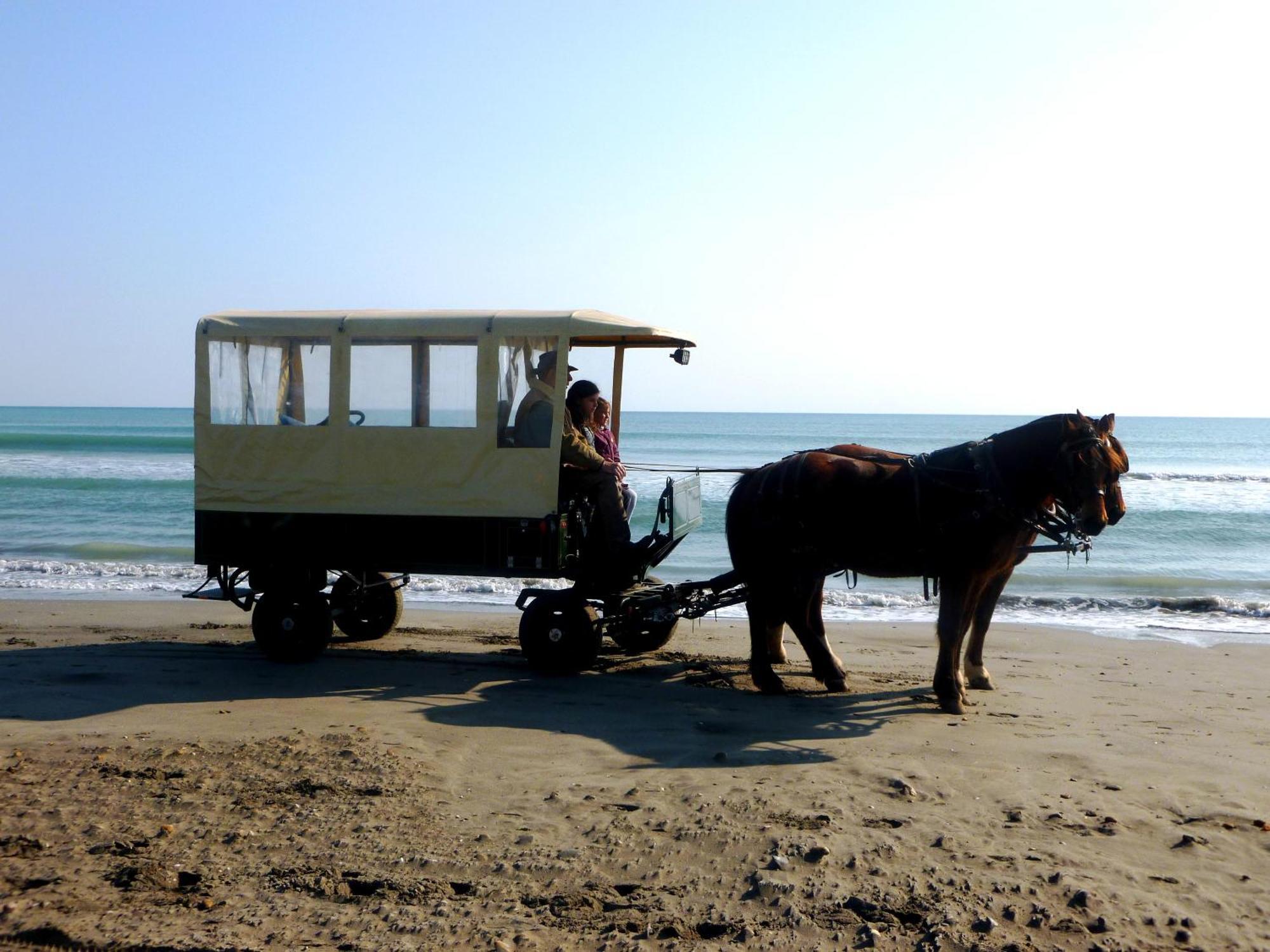 Les Rizieres Hotel แซ็งต์-มารี-เดอ-ลา-แมร์ ภายนอก รูปภาพ