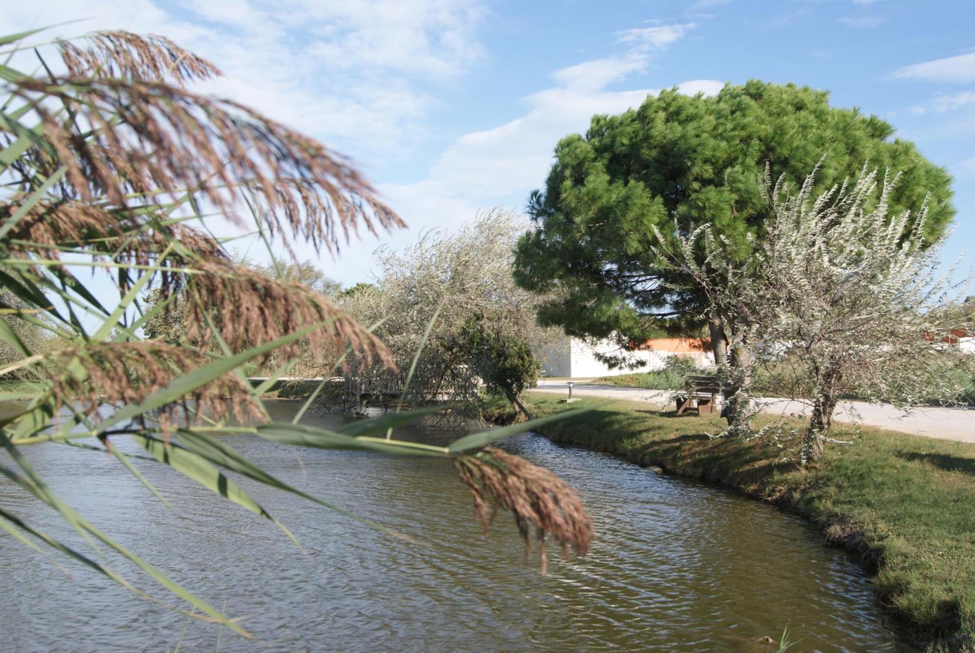 Les Rizieres Hotel แซ็งต์-มารี-เดอ-ลา-แมร์ ภายนอก รูปภาพ