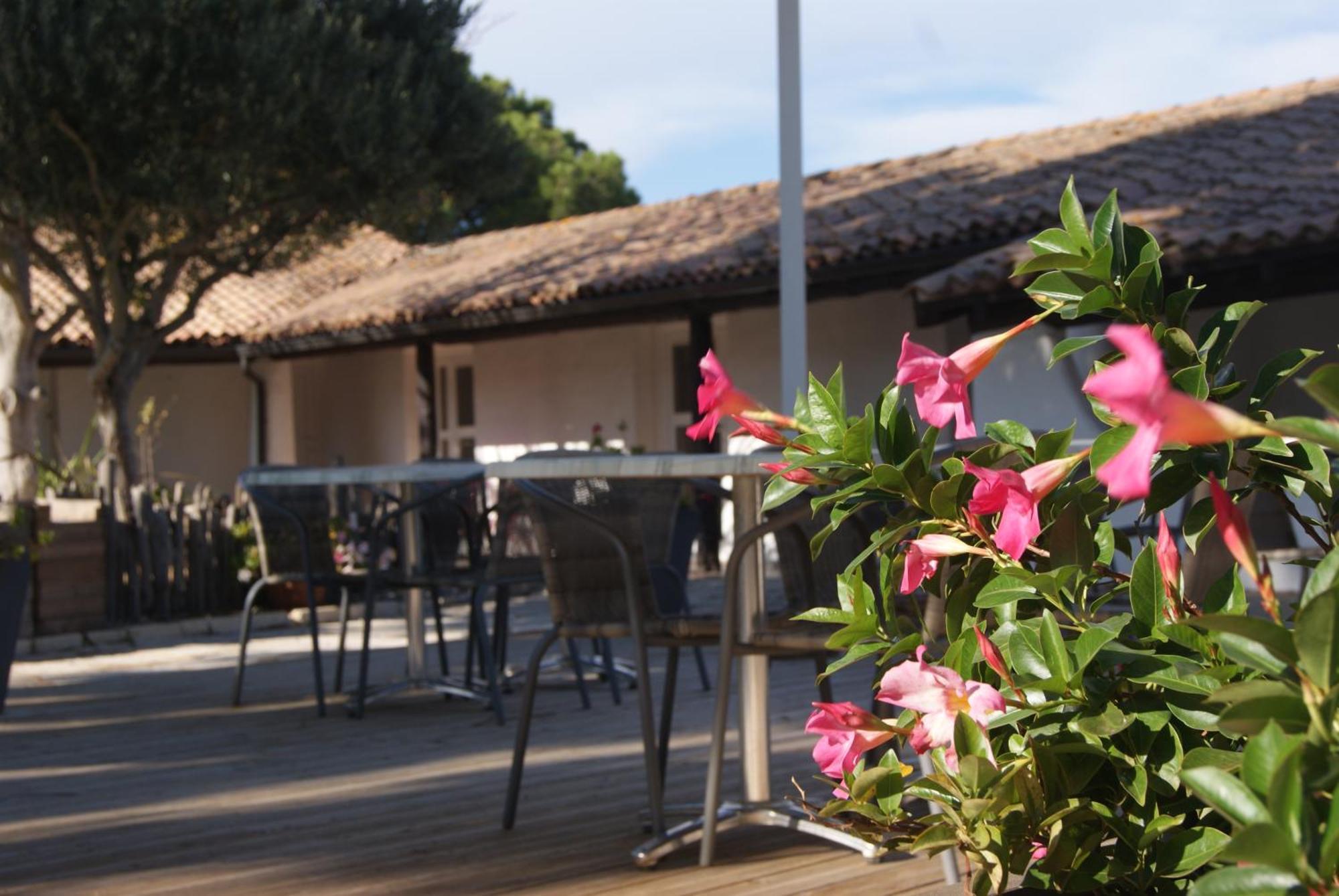 Les Rizieres Hotel แซ็งต์-มารี-เดอ-ลา-แมร์ ภายนอก รูปภาพ